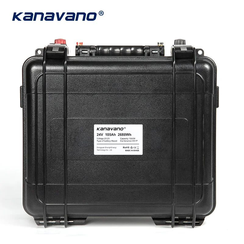 24V WaterProof Deep Cycle LiFePO4 29.2V 100Ah Battery Pack With 100A BMS For Ups Power Solar/RV/HomeStorage + 10A Charger