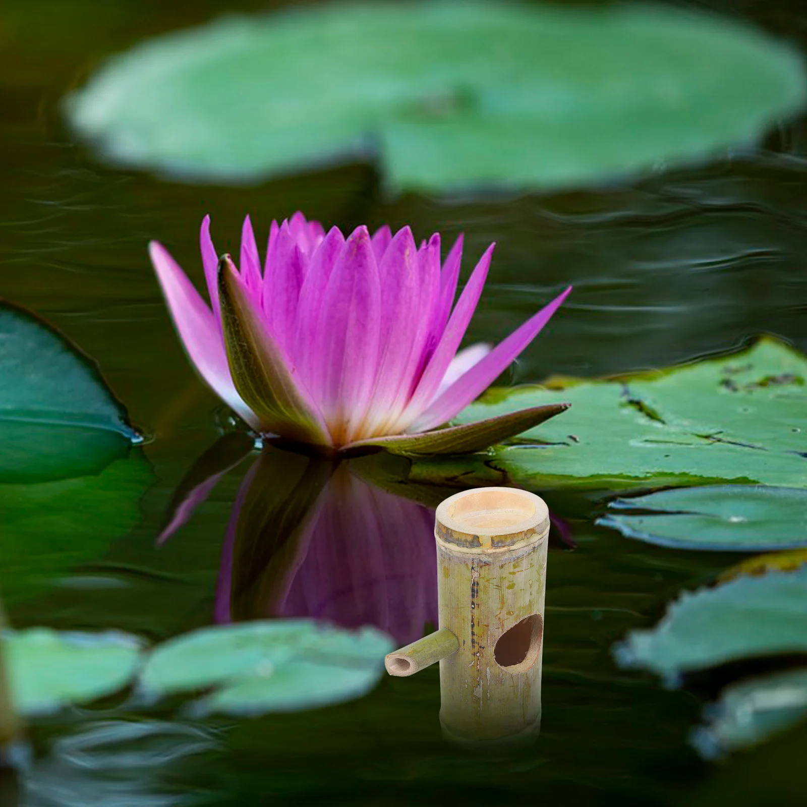 

Bamboo Water Fountain Spout Indoor Outdoor Garden Patio Decor Unique Texture Eye-Catching Color Multi-Functional Use Elegance