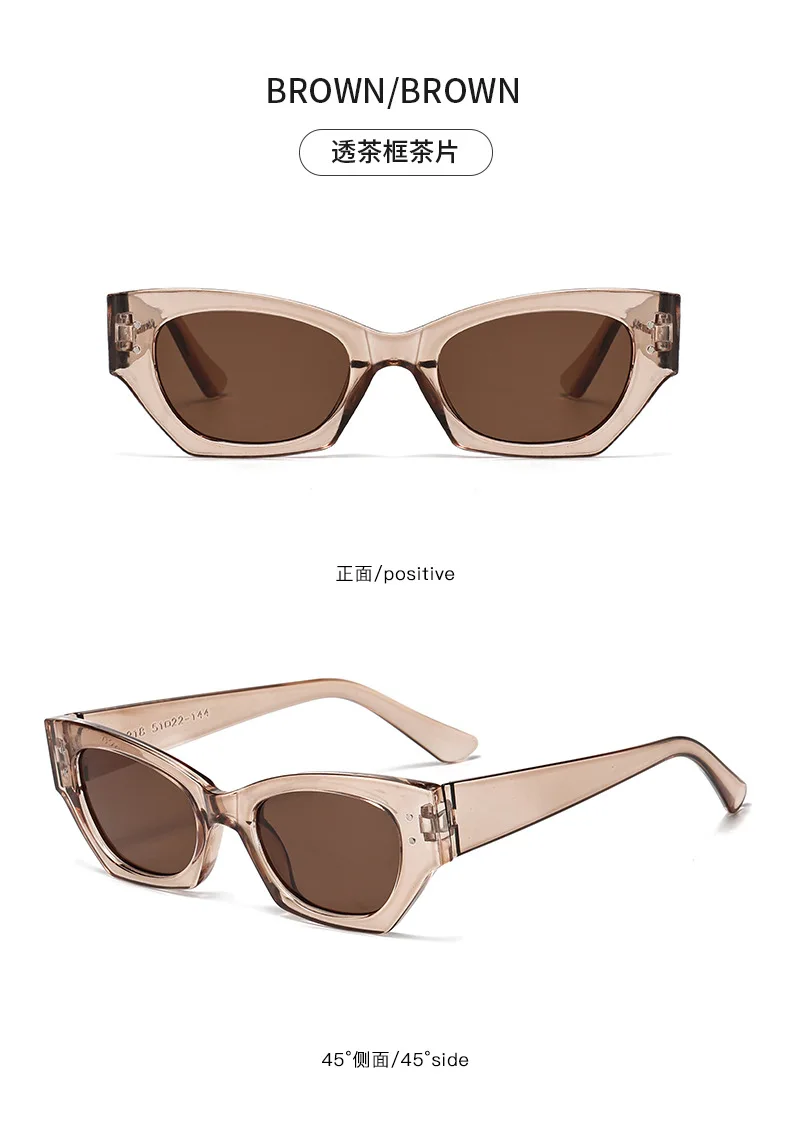 Vintage Kleine Niet Cat Eye Sonnenbrille Frauen Mode Marke Luxus Designer Polygon Sonnenbrille UV400 – Detail 14