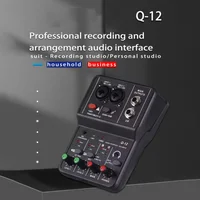 Q12 2 canales interfaz de Audio portátil profesional consola de tarjeta de sonido mini mezclador USB para estudio de grabación de guitarra canto