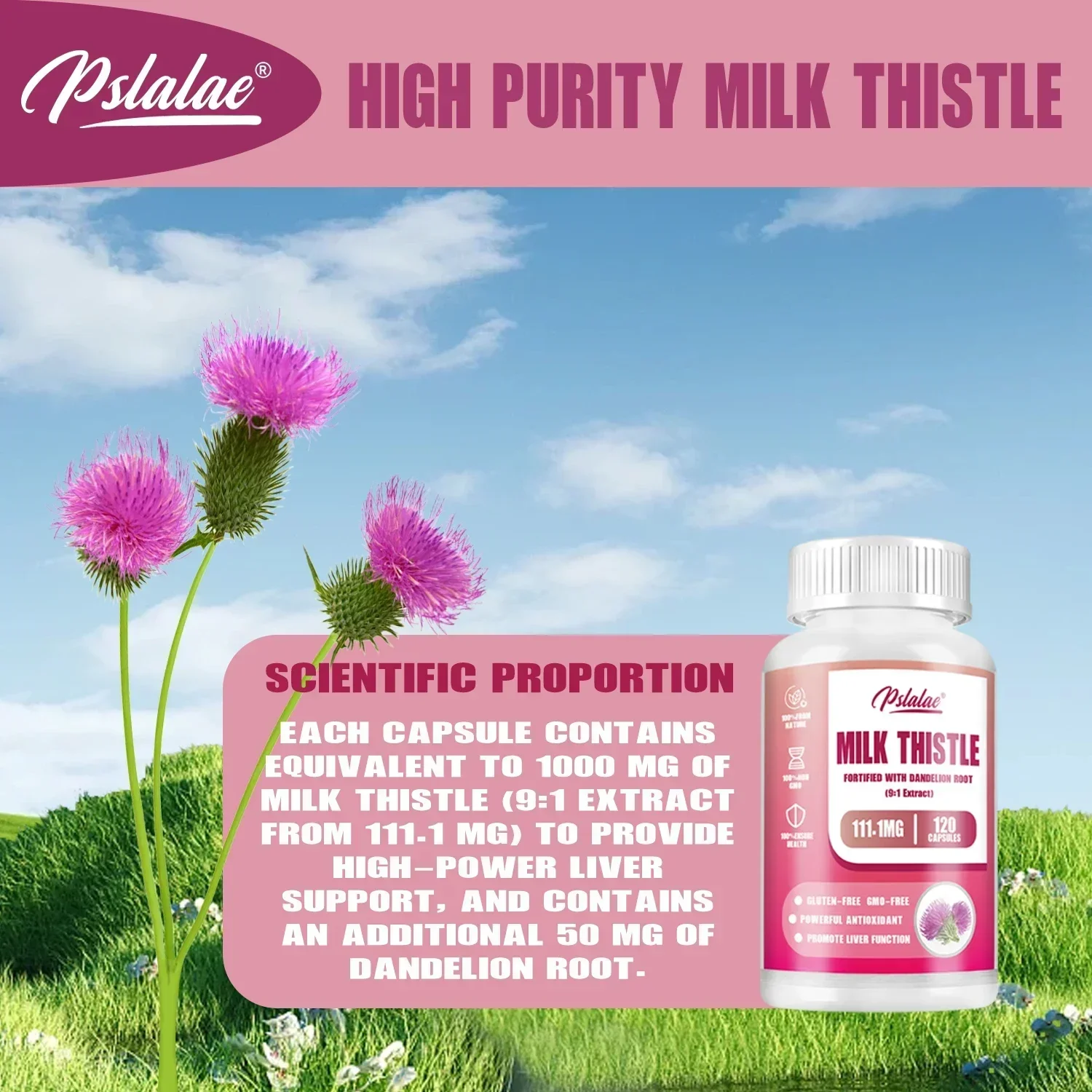 شوك الحليب - مع الهندباء - مضادات الأكسدة، تنظيف وإصلاح الكبد، تعزيز المناعة، وتعزز صحة الجهاز الهضمي