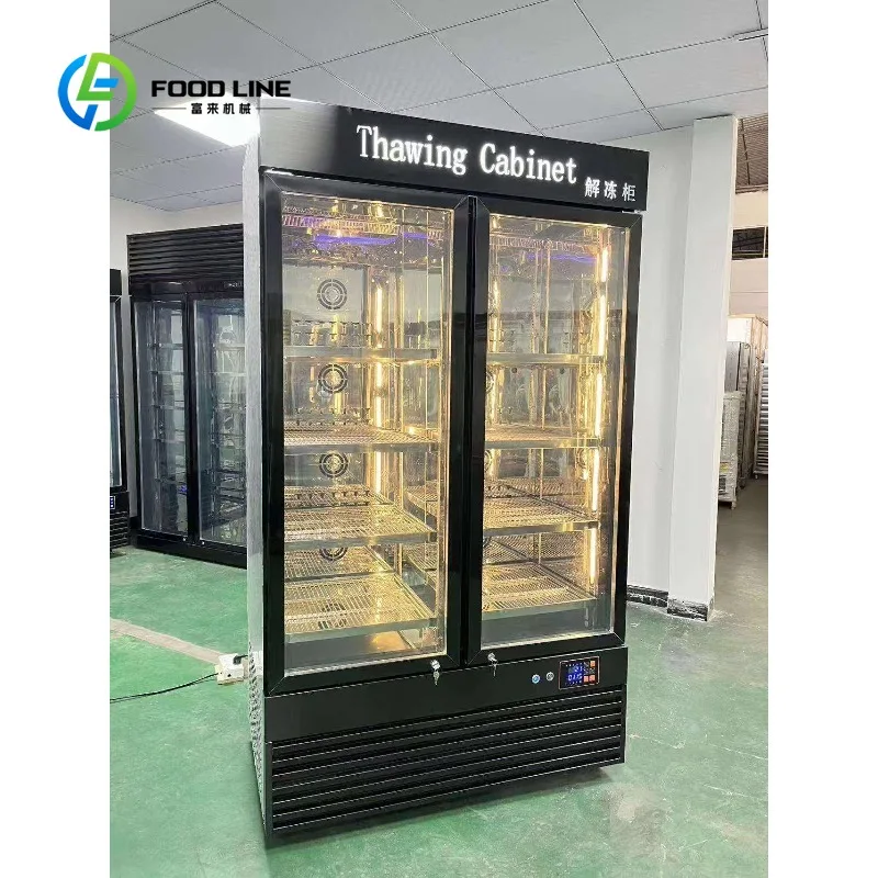 Customized Food Thawing Cabinet 80kg All Stainless Steel Double Door Low Temperature High Humidity Thaw Machine Efficient