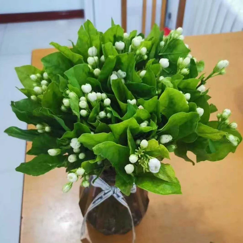 

Industrial Automatic Dough Divider Small Dough Balls Maker Boba Tea Tapioca Pearl Ball Making Machine