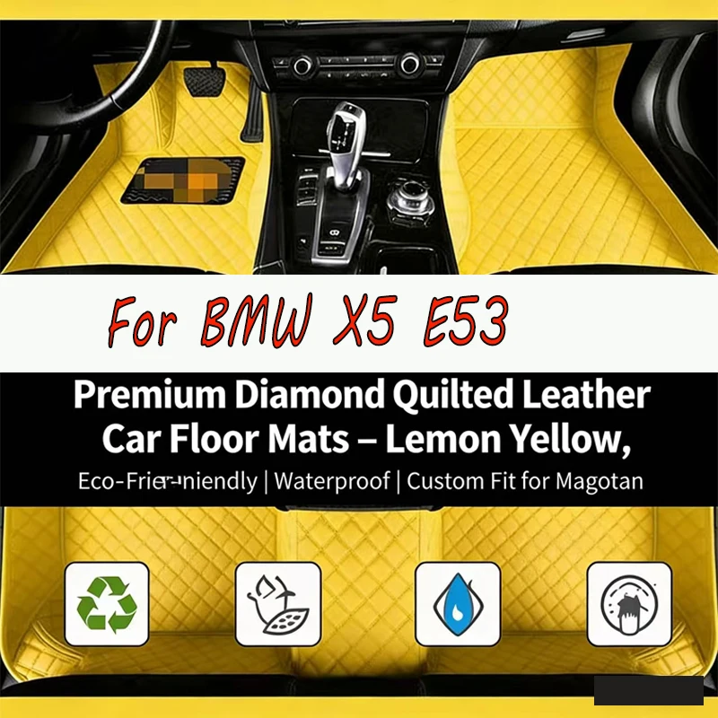 Custom Car Floor Mats for BMW X5 E53 1999 2000 2001 2002 2003 2004 2005 2006 Year Auto Interior Accessories