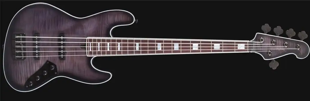 5 String Bass Guitar ELwood Bass Alder Body Maple Top Maple Neck Rosewood Fingerboard White Bindings Fixed Bridge Black Tuners