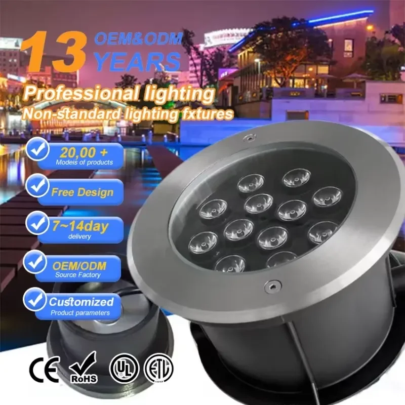 IP68 Waterproof Stainless Steel LED Pool Light RGB Remote Control Rechargeable Portable Underwater Light for Swimming Pool
