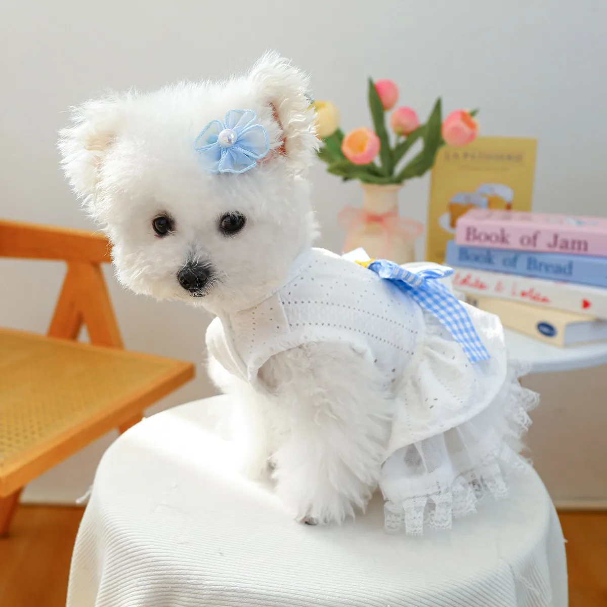 

Maltese Saree Puppy Summer Princess Sea Salt Poncho Teddy Breathable Dress Yorkshire Pretty Pullover XS-XL