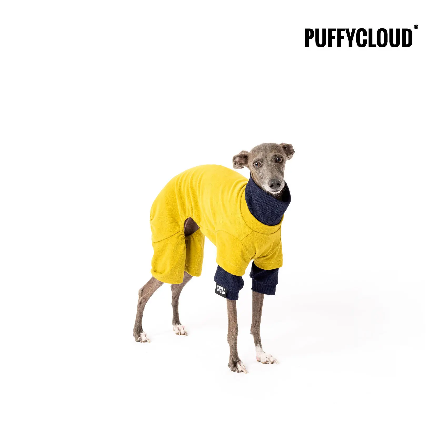Cotton Faux Two-Piece Yellow Green 4-Legged Turtleneck Jumpsuit for Italian Greyhound Classic Yellow Cozy Home Wear for Whippet