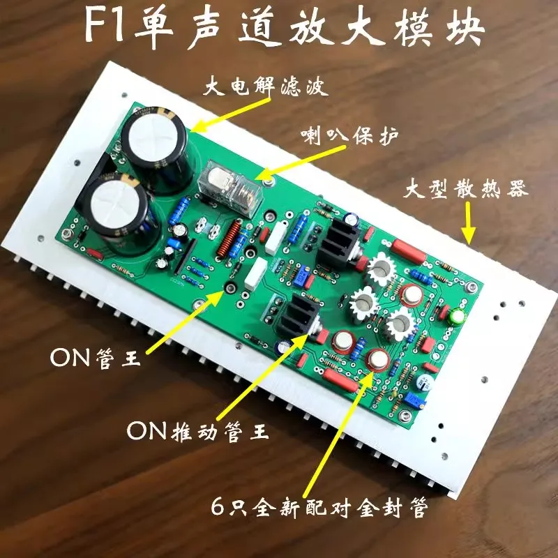 Amplificateur de puissance de canal de touristes stéréo F1 HiFi fini, haut-parleur d'amplificateur de son audio, ligne FM300A, 100W + 100W