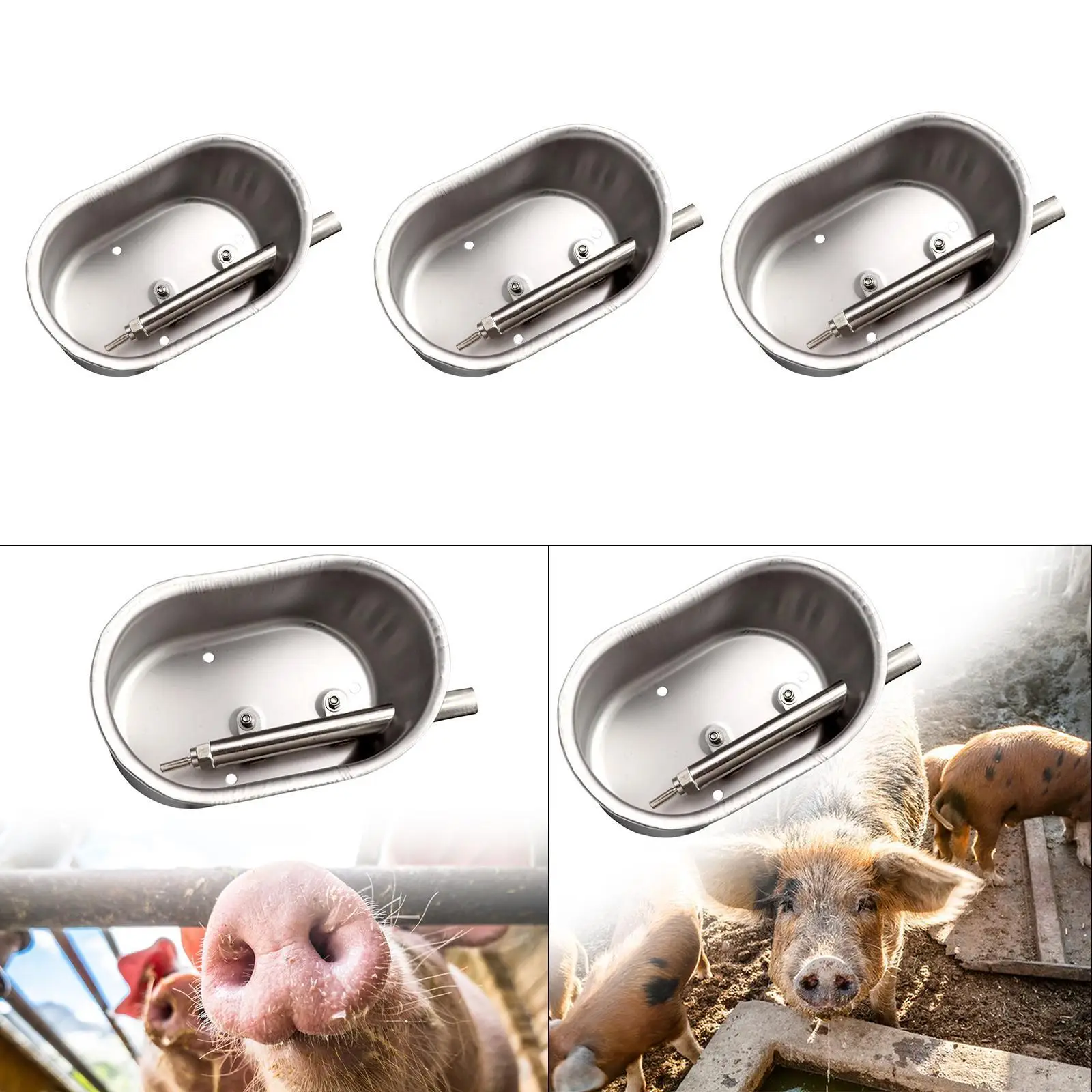 

Автоматическая поилка для свиней, поилка для свиней, поилка для свиней, свинья, свинья, свинья, поилка