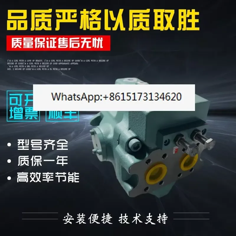 A37-F-R-01-B-K-32 Plunger Pump A37-F-R-01-C-H-K-32 Hydraulic Oil Pump High Pressure Variable Piston Pump for Industrial
