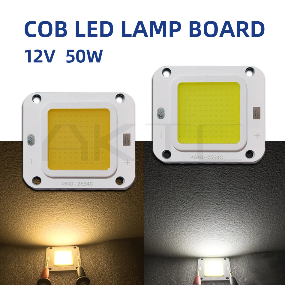 High Power 50W LED Chip COB Lights DC 12V Battery Available Warm White 3000K White 6000K Single Color Low Voltage Lighting Lamp