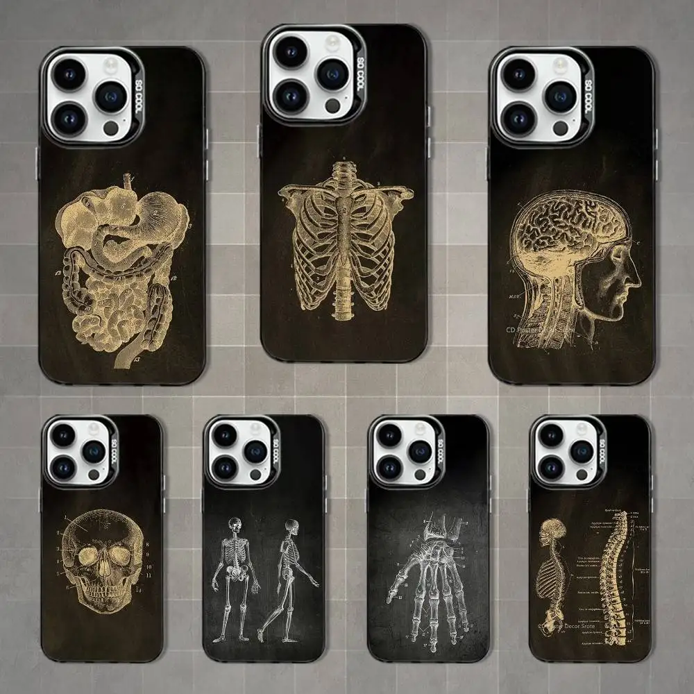 

Anatomy Art Skeleton Phone Case For iPhone 16,15,14,13,12,11,Mini,Pro,MAX Black Matte Shockproof Cover