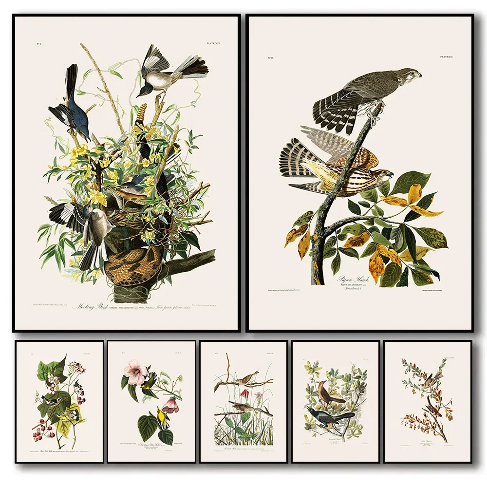 Vintage Birds Old Audubon Illustration Floral Plants Poster Canvas Painting Cormorant Bird Wall Pictures Realism Art Home Decor
