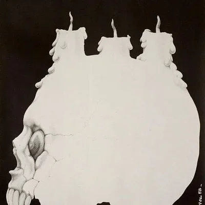 하비윙 RC카 120A 프로그램 카드 LED 프로그램 박스 2C 86020010 프로그램 카드 (XERUN 및 EZRUN 시리즈 자동차 브러시리스 ESC용)