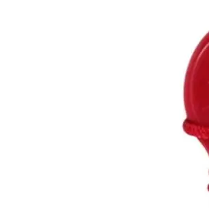 Treadmill Safety Key Stop Switch 2Pack Red Round Insert With Pull Cord Clip For Running Machine Fitness Equipment Accessories