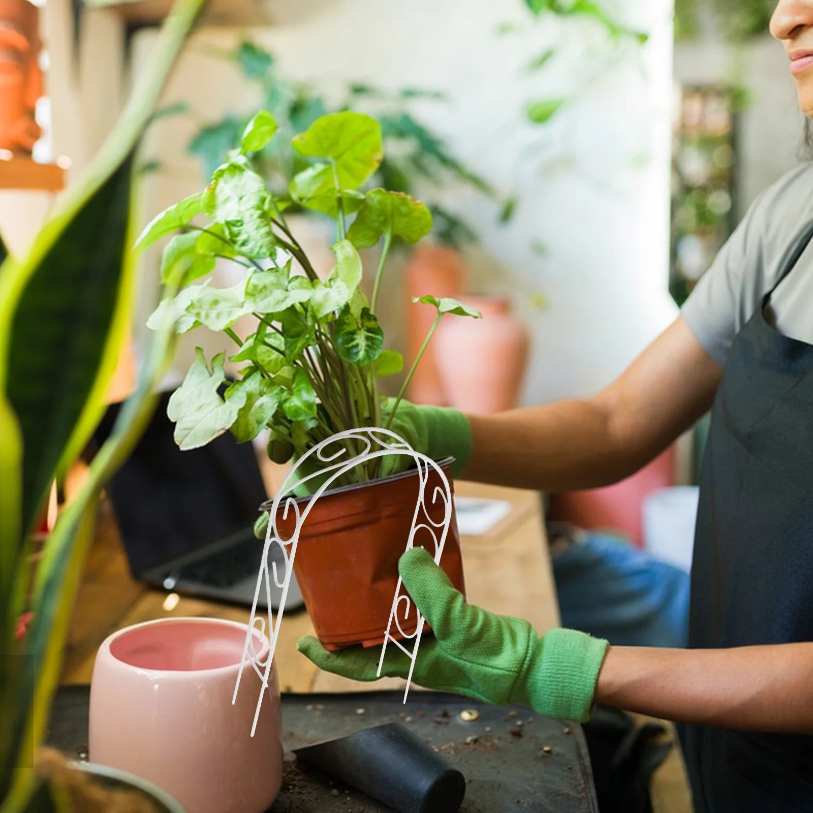 

4Pcs Mini Iron Arch Trellis Vintage European Style Garden Plant Support for Climbing Vines Flowers Indoor Outdoor