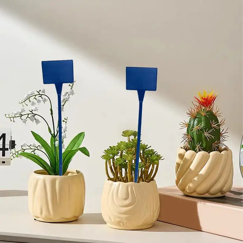 Gartenschilder, Sukkulenten-Schilder, 10er-Set, wasserdichte Gemüse- und Gartenmarkierungen, Zimmerpflanzen-Pfahl-Schilder für Blumen
