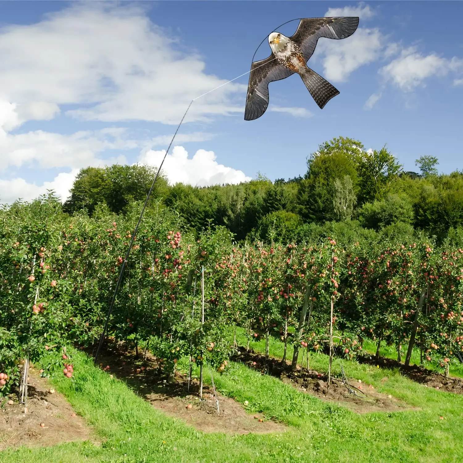 

Birds Scarer Hawk Flying Kite Replacement Bird Kite Simulation Flying Hawk Kite Pigeon Scarer for Garden Fruit Fish Pond