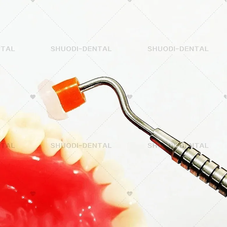 Lab Teeth Printing Mould Set Aesthetics Printing Mold Kit Metal Handle 8pcs Posterior Lab Trimmer Spatulas