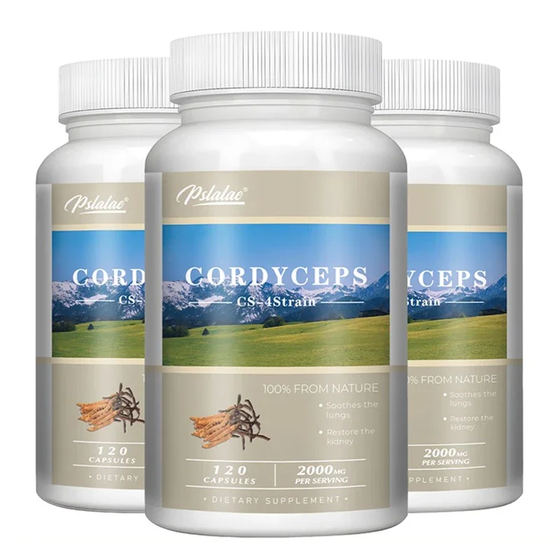 

Cordyceps Capsules - Replenish Energy, Supports Heart, Kidney Health, Enhance Memory and Concentration