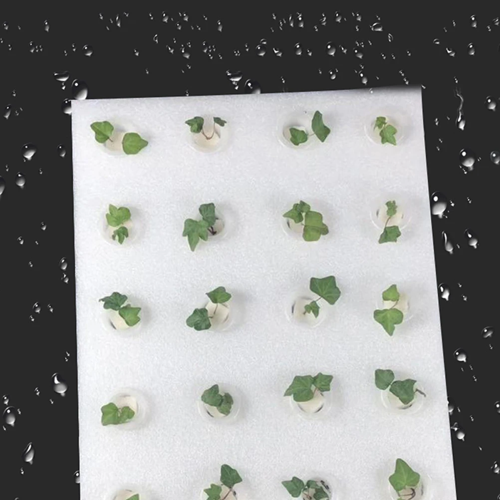 

2Pcs Hydroponic Sponge Plates Lightweight Growing Medium for Seedlings Sprouting Soilless Cultivation Plant Accessories