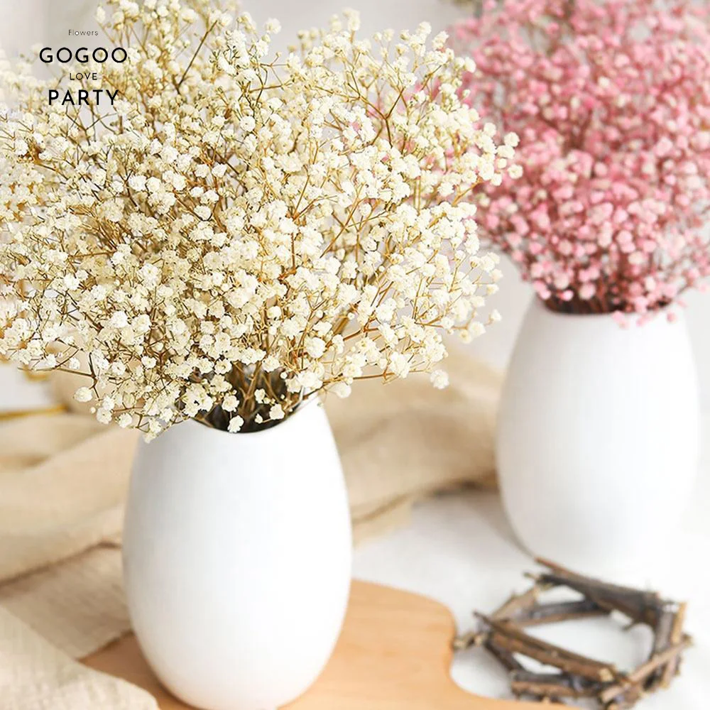 Natural Gypsophila Baby Breath Dried Flower Bouquet Valentine Day Gift Wedding Party Decoration Preserved Paniculata Home Decor