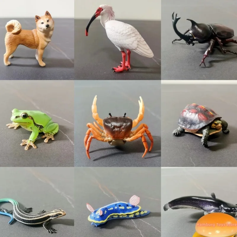 

Ikimon Japanese Nature Animals No. 2 Model Collection Nature Animal Shiba Inu Crested Ibis Unicorn Frog Ornament