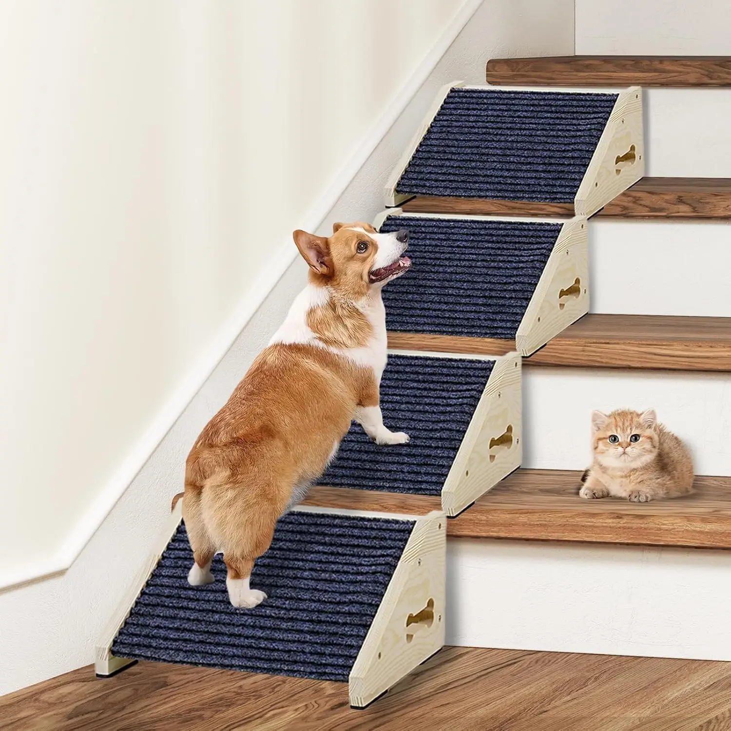 #37 Top 40 Folding Dog Ramps Worth Buying In 2026