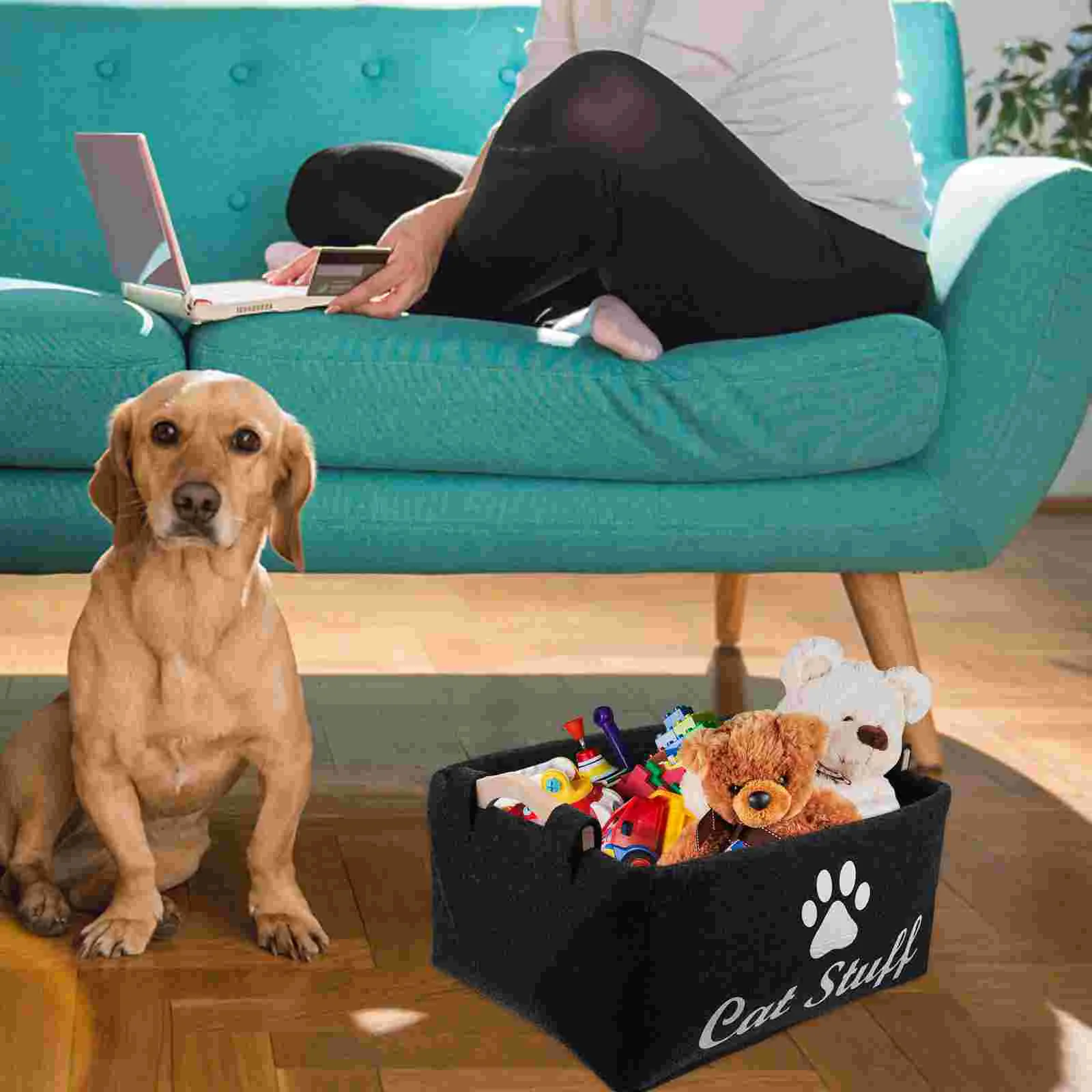 Boîte de rangement pour animaux de compagnie, conteneur de matériaux de qualité supérieure, panier à bijoux, panier à vêtements, étui à jouets, questionFoy