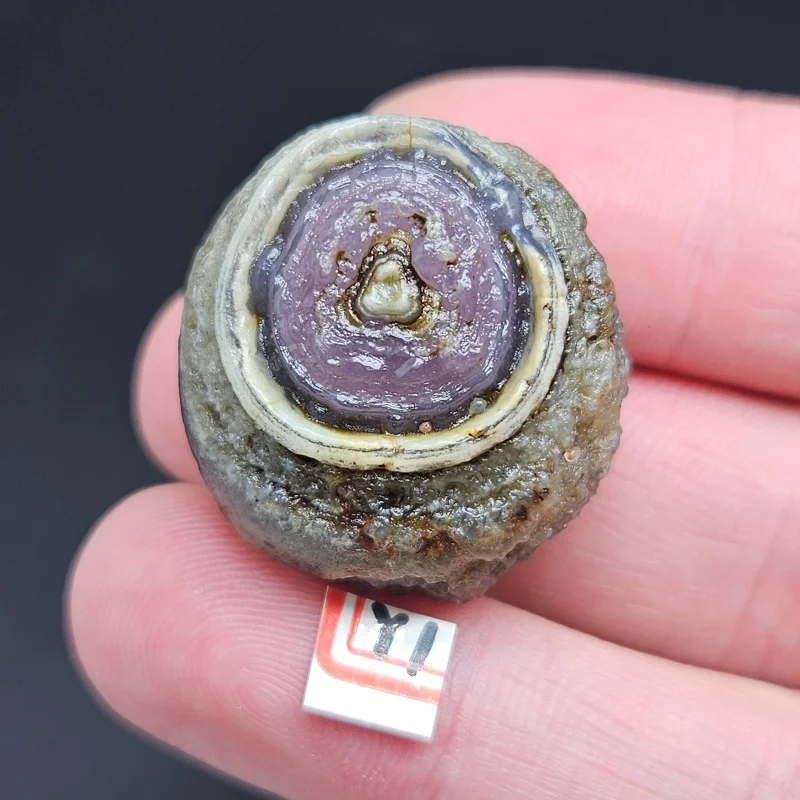 

Natural Ancient Witchcraft Lndian Divination Chakra Stone Energy Crystals Home Decoration