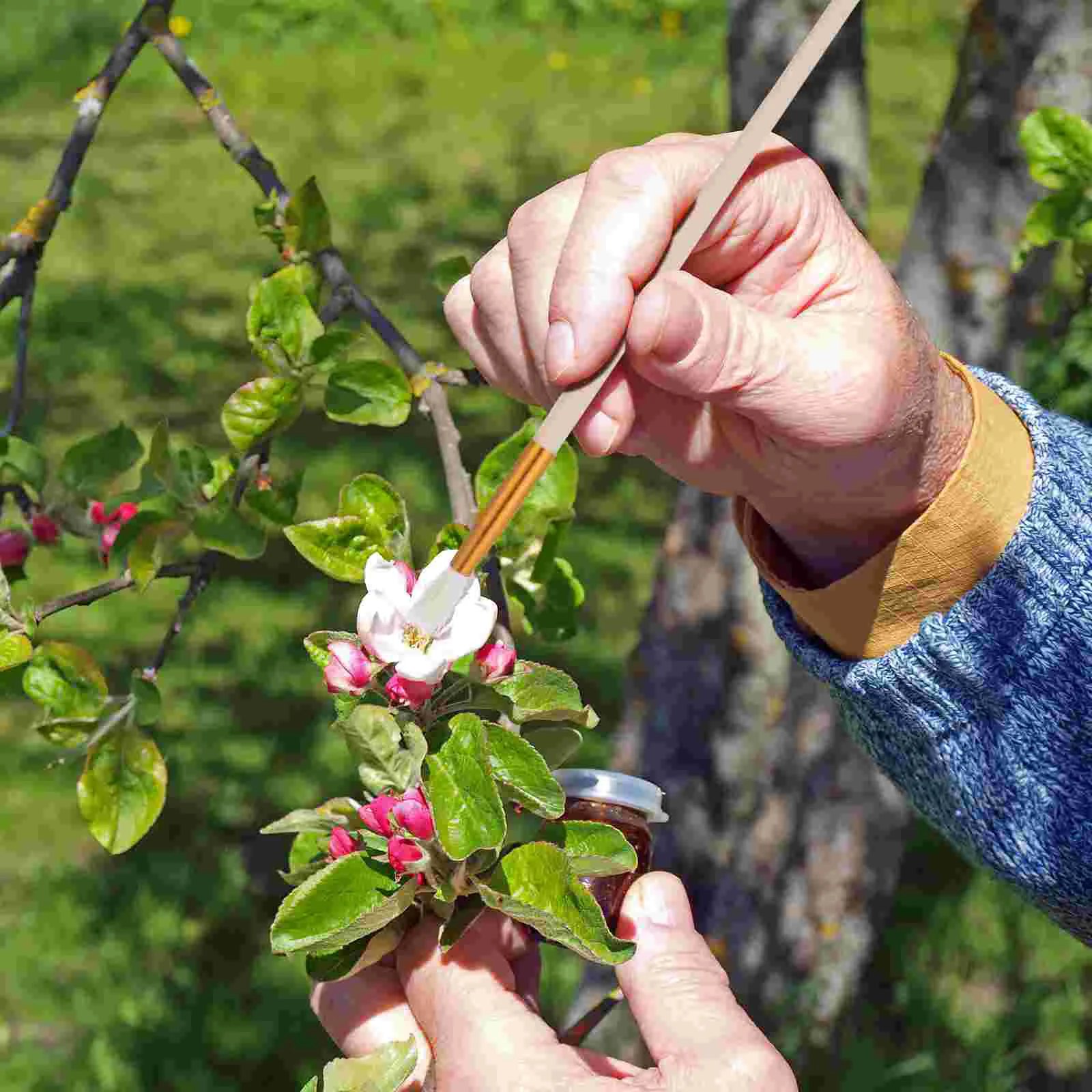 8 Pcs Artificial Chalk Garden Accessories Fruit Tree Pollination Pear Pollinator Tool Gardening Tools Plant