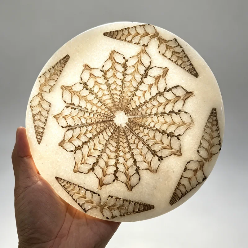 1pc Large Natural Ammonite Fossil - Ancient Nautilus Shell Disc, Brown/Beige/Black/Gray/White/, Heavyweight 100+g Quartz Crystal
