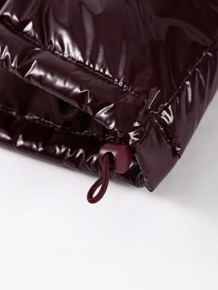 Kurze Glänzende Kapuzenjacke für Damen, Street-Style Stehkragen, Laternenärmel, Lose Passform, Modische Damenjacken, Neue Oberbekleidung – Detail 13