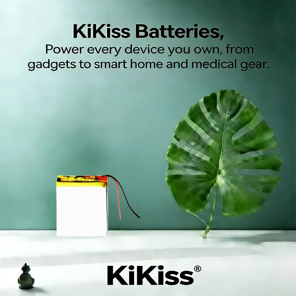 Mp3 Player Battery …