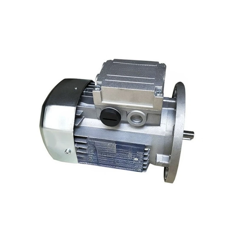 Motor 63 71 80 90 100 112 132Silver Iron Italy