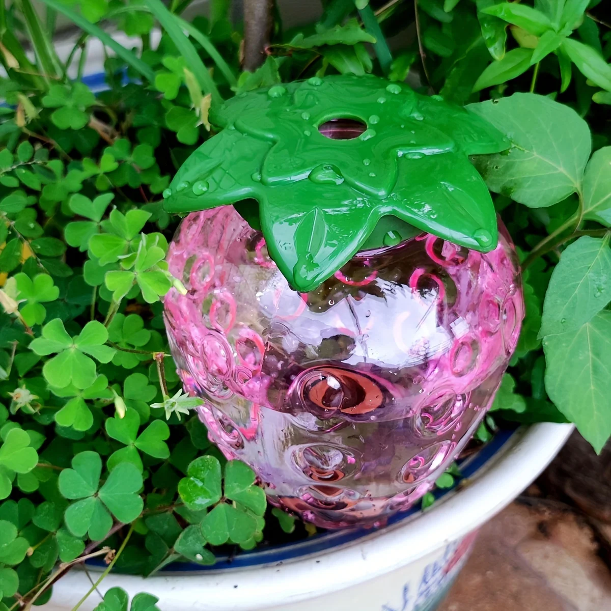 Fotografia 5: 2 pçs ferramenta de rega automática sistema de rega de irrigação por gotejamento interior vasos flor planta waters para jardim casa