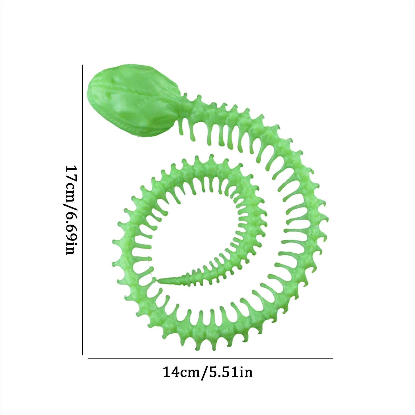 هالوين الهيكل العظمي الدعائم الهيكل العظمي أبو بريص زينة الهالوين زاحف ديكور حزب الدعائم ألعاب 4 أشهر