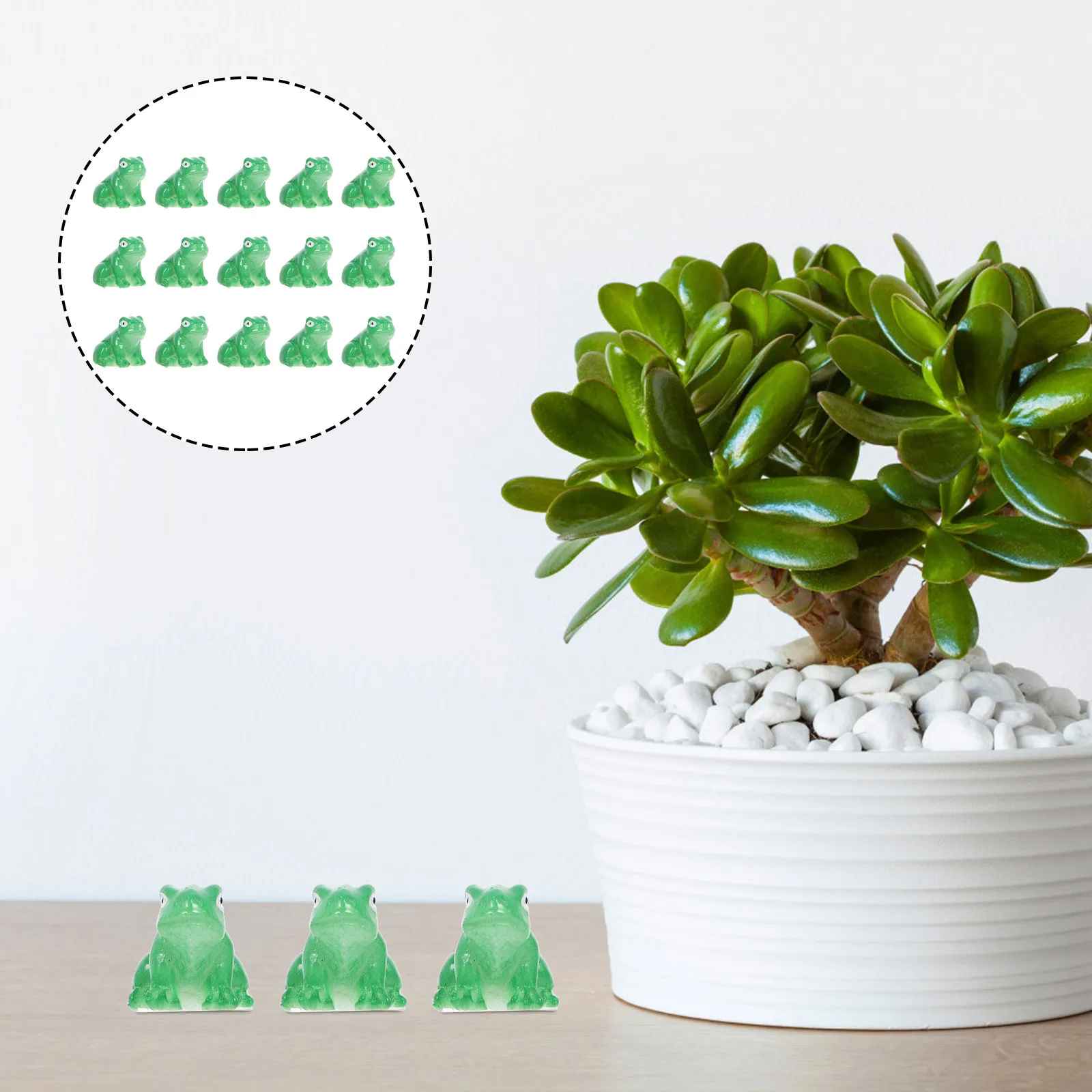Mini Resin Frogs Aquarium Ornament Set – 15pcs for Fish Tank, Terrarium & Desktop Photography