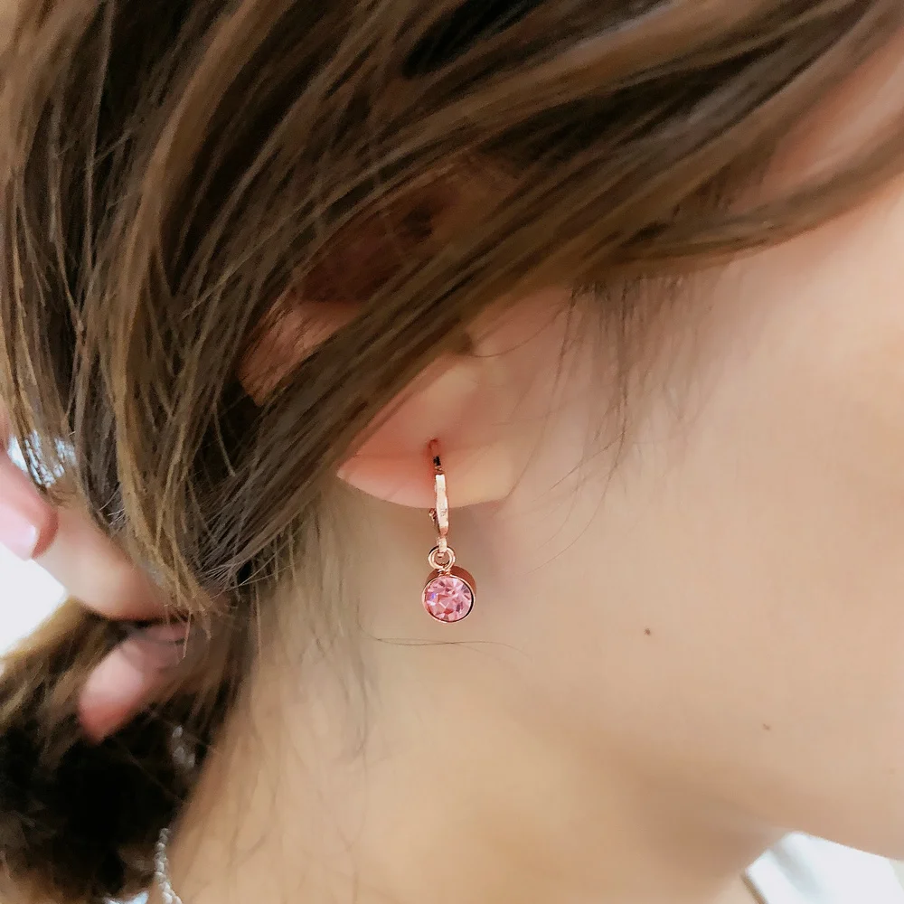Romantic Pink CZ Stones Dangle Earrings For Women Rose Gold Color Small Round Ear Hook Jewelry Wholesale DWE816/E815