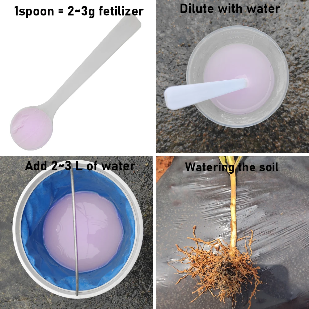 30 جرام فطر التحكم الحيوي المتقدم من Purpureocillium lilacinum لتحقيق Nematode الأسمدة الميكروبية لخصوبة التربة