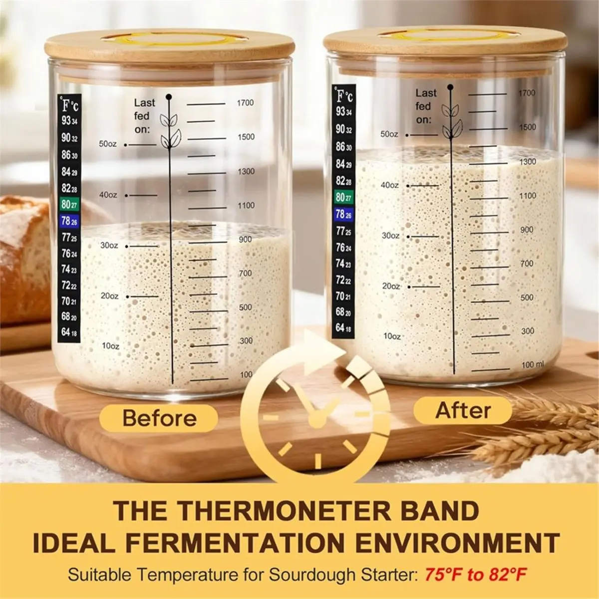 Sourdough Jar, 50 Oz Large Sourdough Jar with Time Keeper, , Wide Mouth Glass Sourdough Kit