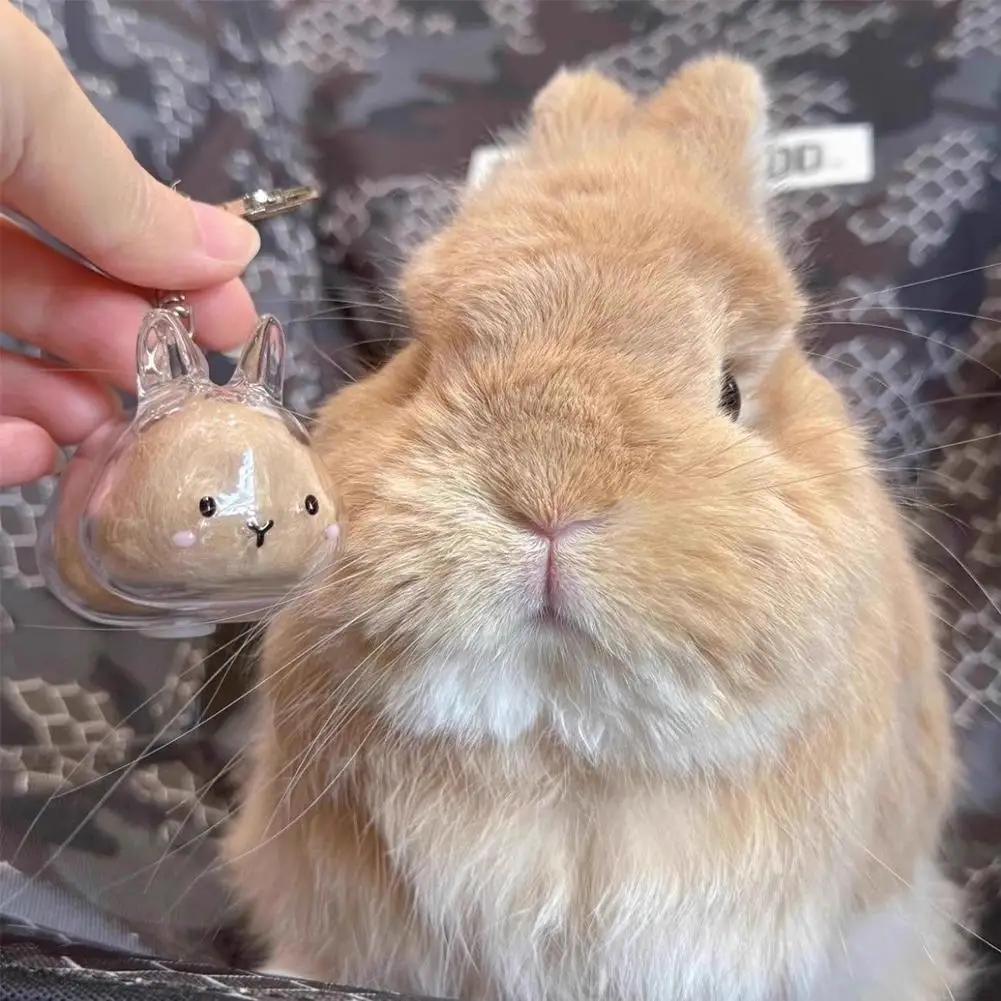 Transparent Rabbit Fur Storage Pendant Keychain, Gumball Rabbit, Rabbit Fur Hair Storage Capsule, Commemorative Collection Bag