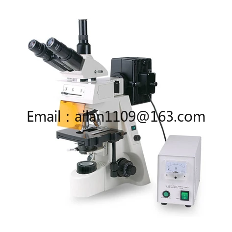 XYL-146 Professional Laboratory Epi Fluorescence Trinocular Microscope Price