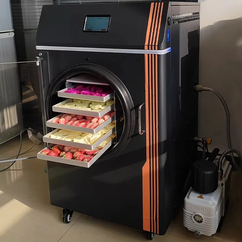 4kg 6kg Small Vaccum Freeze Dryer Fully Automatic Freeze Drying Machine for Fruits Food Candy and Pet Treats Meat Customized