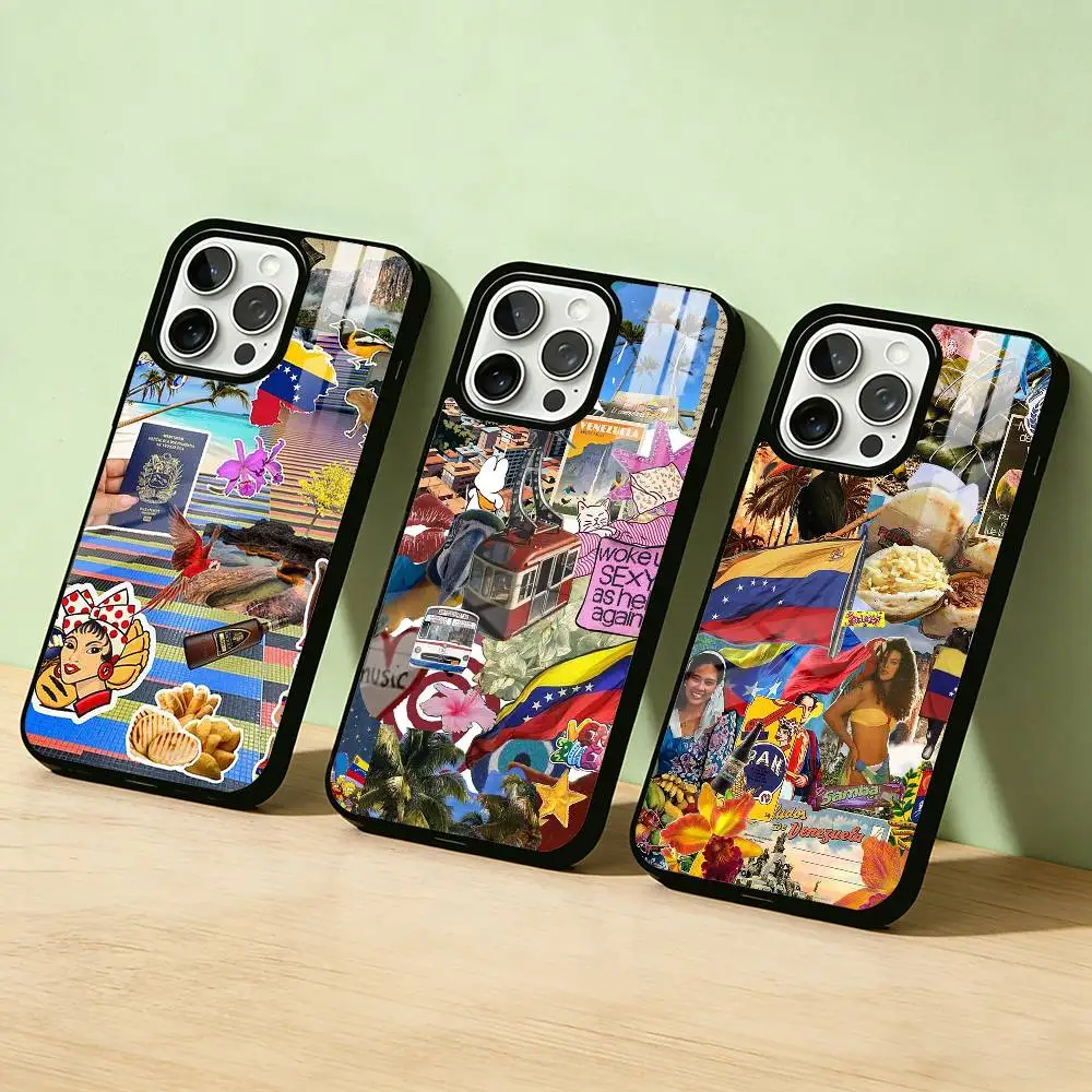 

AAA Venezuela Culture Phone Case For iPhone 17 16 15 14 13 12 11 Pro Max Plus Silver Matte Black Cover