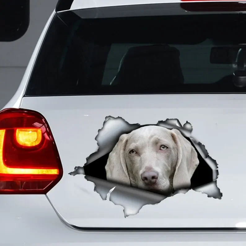 

Gray weimaraner car decal , weimaraner magnet, car sticker , weimaraner sticker