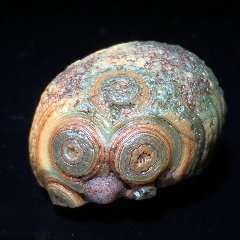 Natural Alxa Gobi Eye Agate Rough Stone Single Mongolian Surface Relief Eye Pattern Raw Stone for Collection Reiki Decor