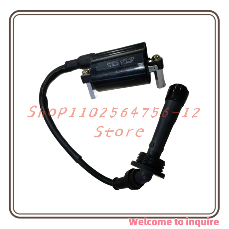 Suitable for Qianjiangsai 250GS-29F Jinpeng 251 Little Yellow Dragon Young Lion 250 High-voltage Pack Ignition Coil with Hat