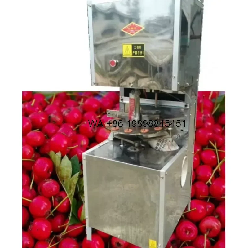 Wmwmnu Automatic Olive Pitter for Iraq Dates Red Dates Peach Fruit Stone Removing Core Pitting Tool